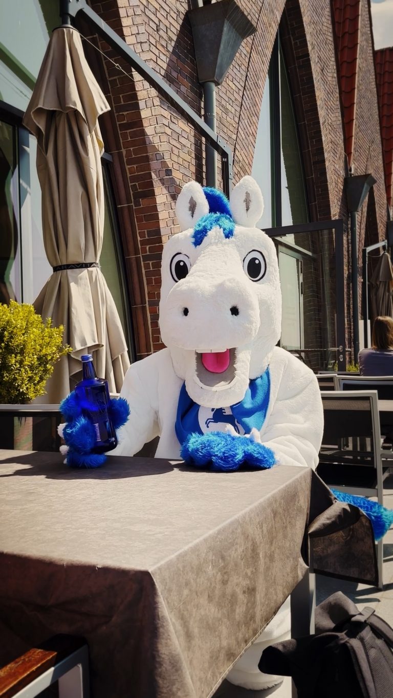 Maskottchen der Öffentlichen Versicherung Braunschweig Öfi